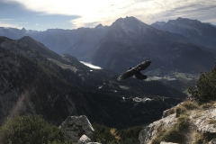 The Eagle's Nest, in Austria