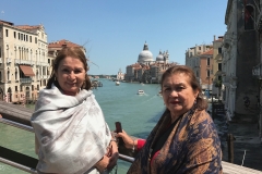 The Accademia Bridge in Venice