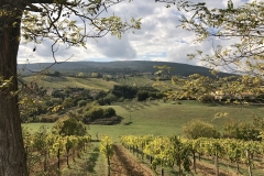 San Gimignano, Tuscany