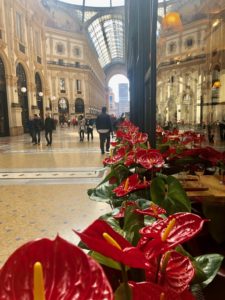 A bunch of flowers are in the middle of an indoor area.