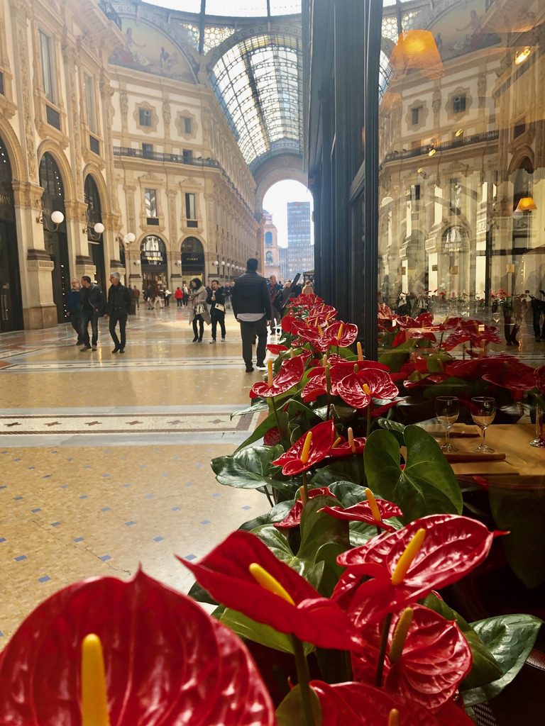 A bunch of flowers are in the middle of an indoor area.